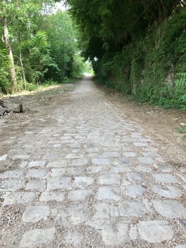 ◻️◼️secteur de pavé de Nandy à Seine Port : 300 m ↗️