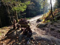 Marche en famille au Donon