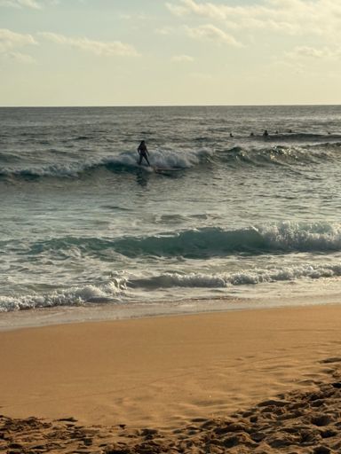 Excursion to Sandy Beach w/better waves than Waikiki