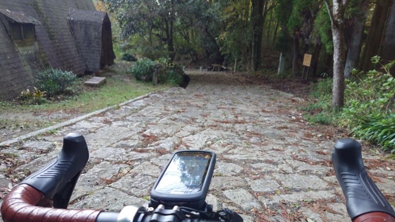 いつもは登って来るところ、全身マッサージ区間になるかと思ったが、意外と縦方向の溝が多くてソロリソロリと下ったので、マッサージしてもらえなかった...😥