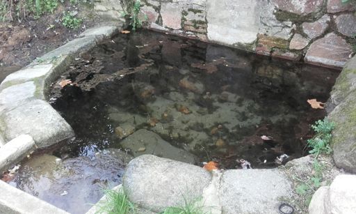 Font inundada a Trentapasses