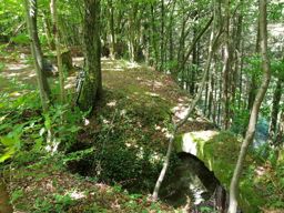 Balade VTT aux ruines de Turquestein
