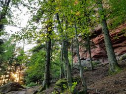 Abreschviller Walscheid