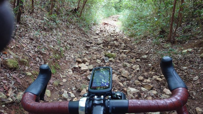 久々に通ったけど相変わらずのガレ具合というか、石増えてない!?