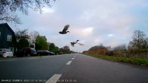 Snoek-L natuurfotografie