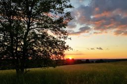 Sortie à vélo le soir