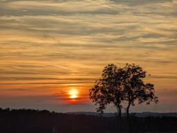 Sortie VTT en soirée
