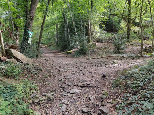 Der von Garmin vorgeschlagene Weg war dann doch etwas zu grob für die Allroadreifen