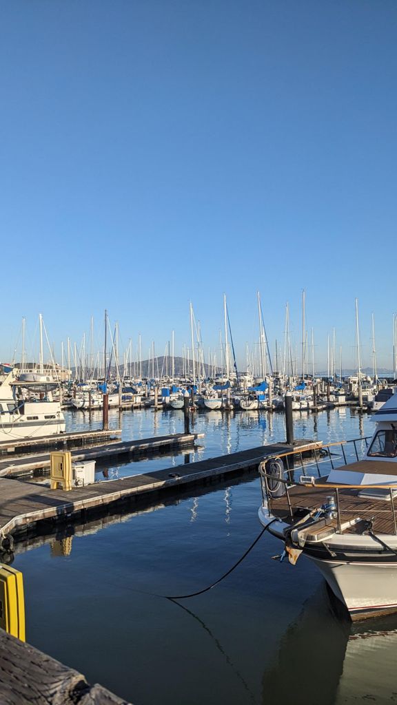 Butterlap (Presidio & Golden Gate Park)的照片 131