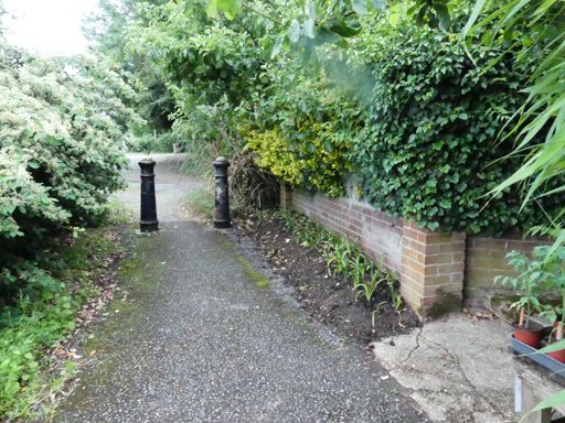 Start finish point. The garden gate is on the right and a plant stall for the kids if you fancy