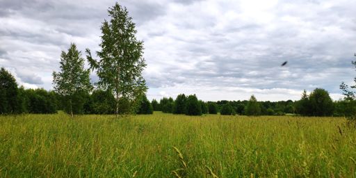 Идём по азимуту . в кадр попала эта мерзость