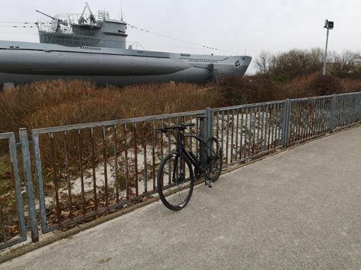 Meine schwarze Witwe 💪💪