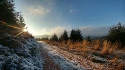 Près du grand rougimont
