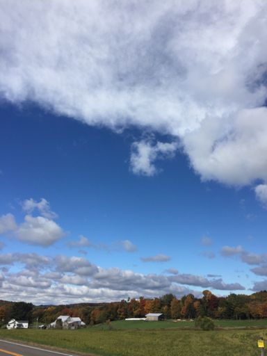 Stunning fall day......DOG!!!!!!