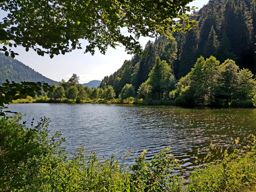 Étang des dames le Rudlin