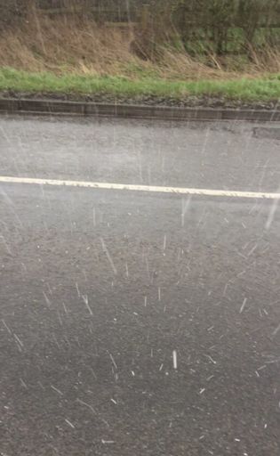 Trying to hide in a hedge from the hailstorm!