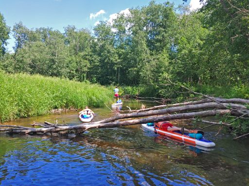 Фото Оли Качаловой.