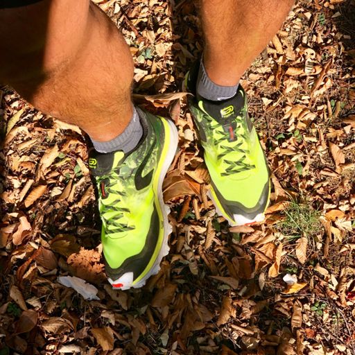 Un run trail pour tester mes nouvelles chaussures @kalenji_trail Race 4 en mode observation 👀.

Un drop de 6mm plus fin que d’habitude mais pas de souci majeur. Question d’habitude. Une bonne dynamique, bonne accroche et pas de douleurs. 👍🏻

Petit run pas trop rapide pour profiter et explorer la Forêt Domaniale de Meudon. De belles belles côtes !!!