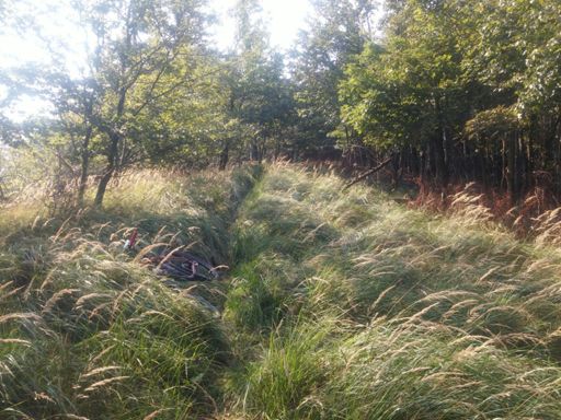 Novo objavený singel, mňam