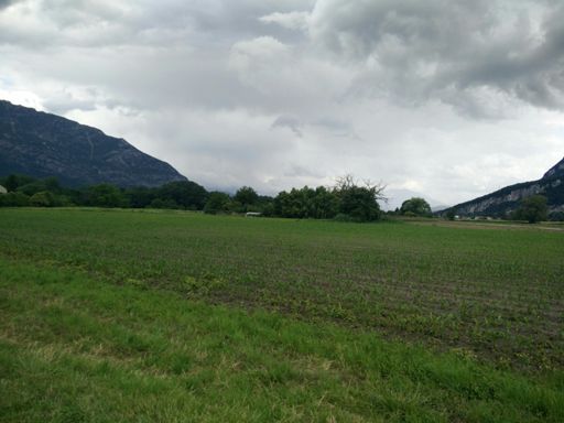 Je crois qu'on va s'en prendre une...