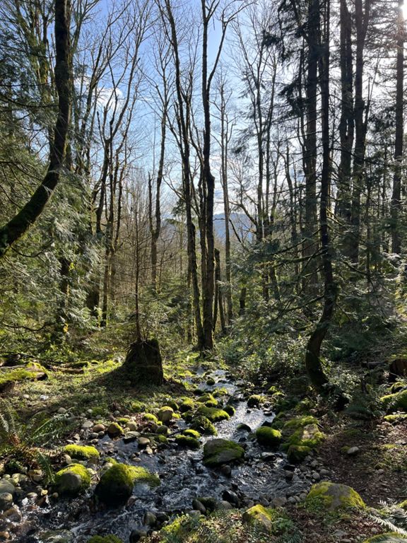 «» — фото 1