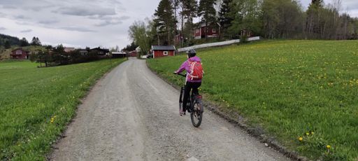 Hønstad, på vei ut på Markabygdveien
