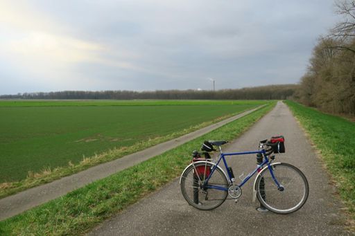 Auf dem Deich am Langeler Bogen