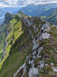 Chöpfenberg Tierberg