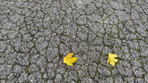 Veille de Paris-Roubaix, ça méritait bien d’aller se tanner le cuissard sur les routes les plus défoncées des Vosges !