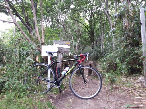 大段ヶ平登山口前で📷