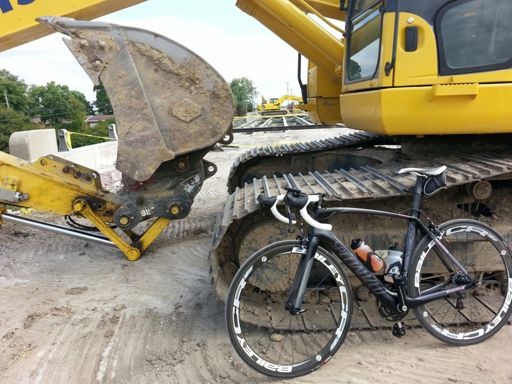 Beauty and the beast!