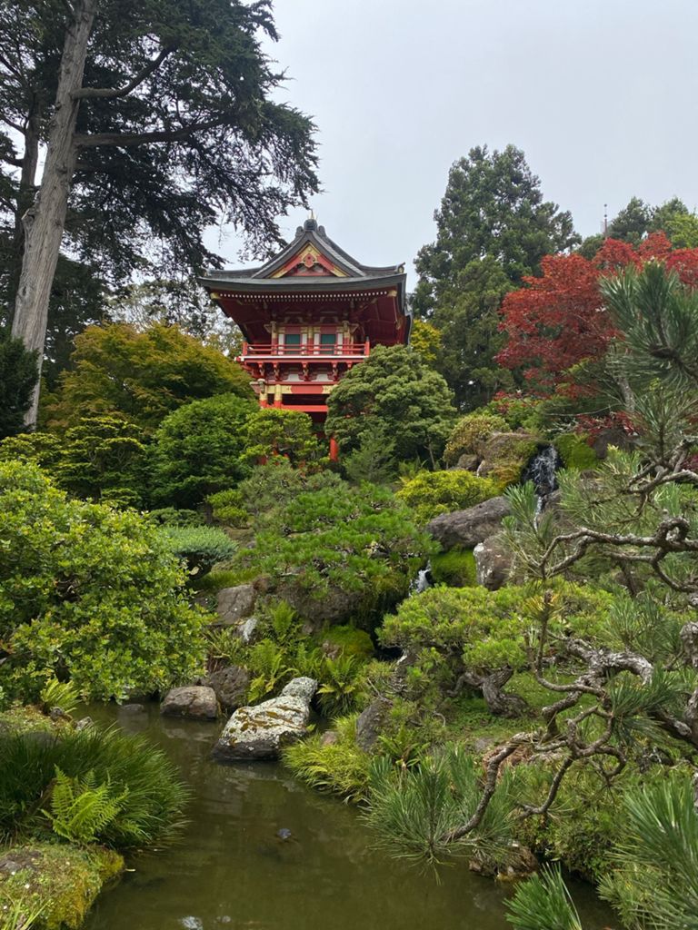 Butterlap (Presidio & Golden Gate Park)的照片 38