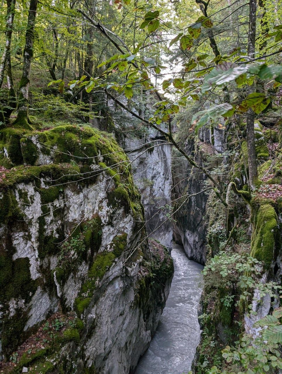 GR 5 Part 1 - Day 6 photo 4