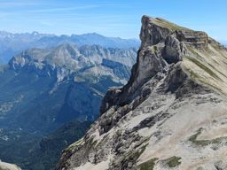 Tête de Lapras et la Cavale par le Nid