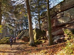Sortie TRA au Mont Ste Odile