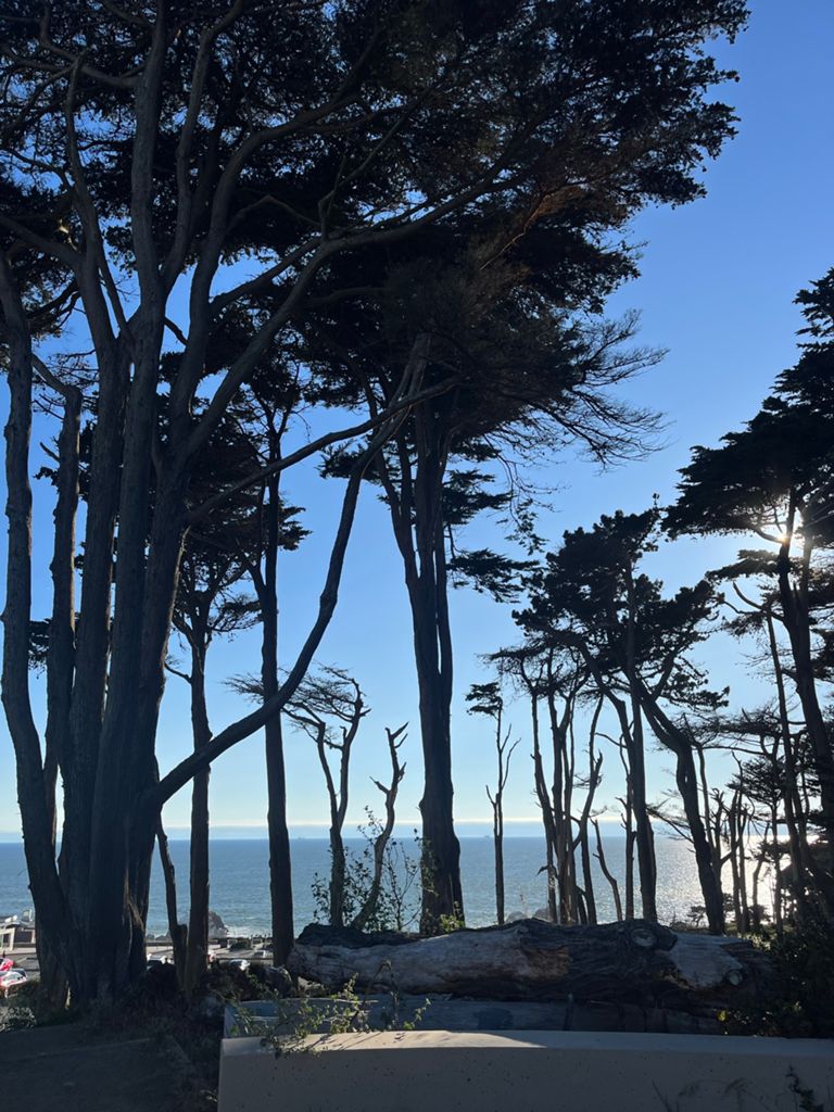 Butterlap (Presidio & Golden Gate Park)的照片 189