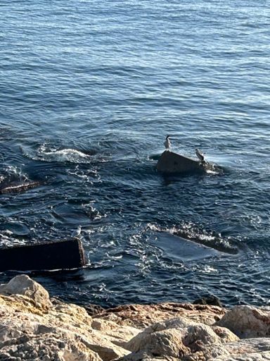 Espectadoras de mi agonía….