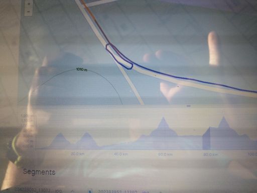 Dumb dumb dumb Marti ... 🤦