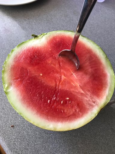 Bästa recoveryn✌️