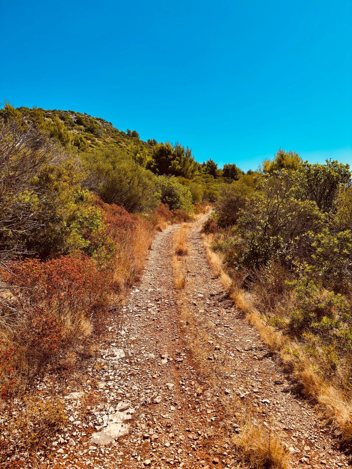 Ride Image 11