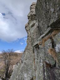 Grimpette aux clochers de petit Hohneck