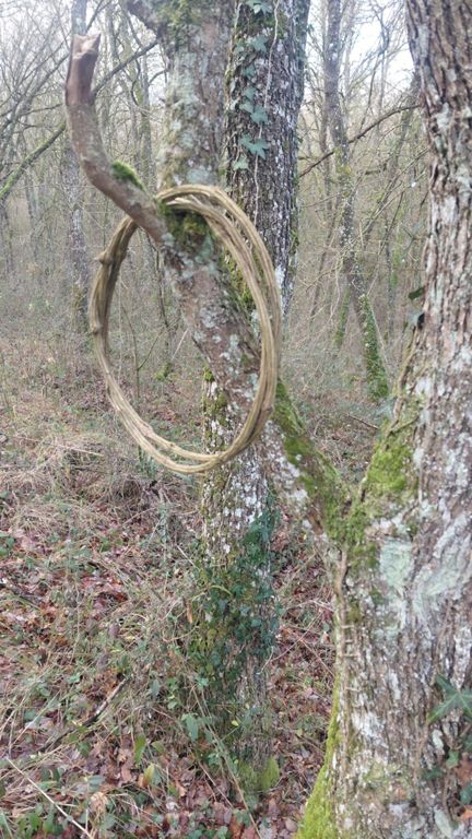 Retorno al bosque de las hadas. Argandoña y Santuario de Estibaliz