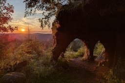 La dentelle des fées