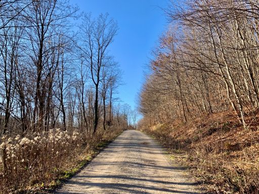 Die Alternative zur Westausfahrt