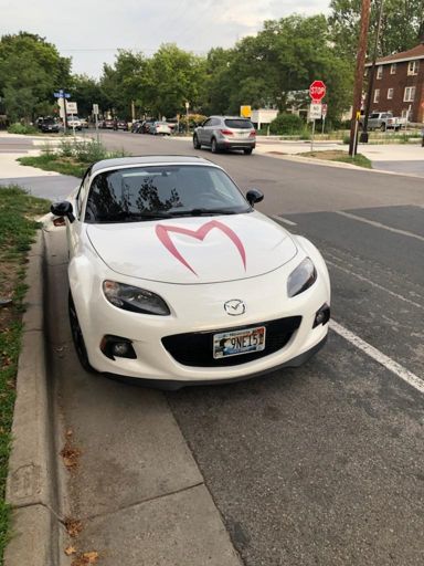 GOOOOOO SPEED RACER spotted by Mom in MPLS.