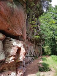 MTB VTT autour de Dabo