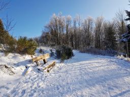 Petit tour de patinoire au Donon
