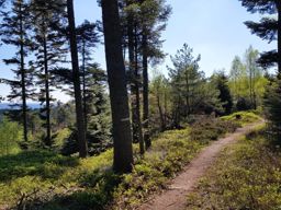 Petit tour dans la côte de Repy