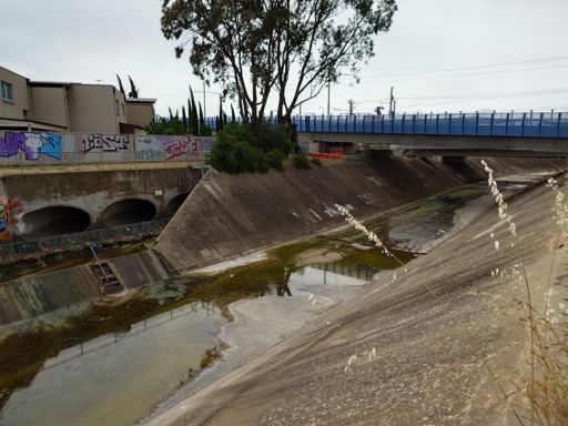 the finest algae in the world. and some construction which means i have to take a small detour.