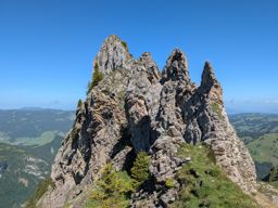 Fluebrig